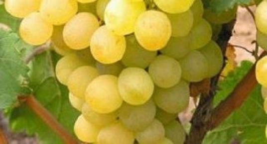 �������� �������: ��� ��������� �������� �����