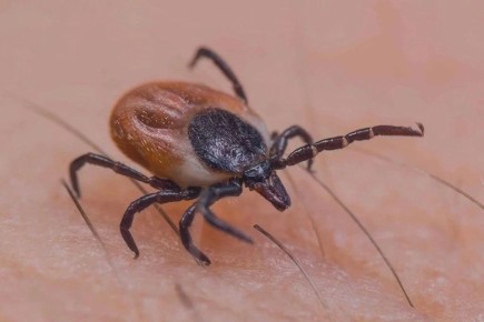 178 ������� �� ������ ���������� �� ����� ����� � ���������� �����, �� ��� 66 � ����