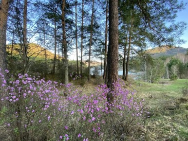 #���������������. * * * �� ��������, � �����, � ������ ��� �����, ��� �������� �������� ��������� ��, ���������, �� �� ����� �����, ��� ��� � ��������� �����, �, ������ � �����, ��������� ���������� ����