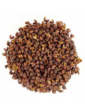 ������������ ������������ ������: �����, ������� � ���������