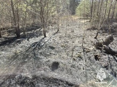 � ���������� ����� �� ��������� �����: