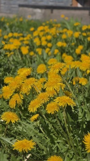 ������ ����! ������ ��������!