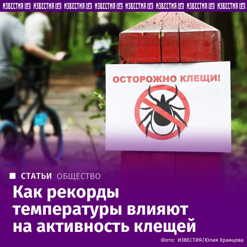 Диагнозы "боррелиоз", "тиф" и "энцефалит" на данный момент поставлены как минимум 34 россиянам, укушенным клещами, подсчитали "Известия" на основе данных региональных управлений Роспотребнадзор