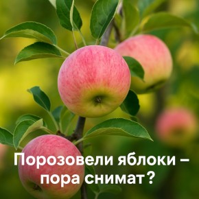 ����� ���� �������� ������: �������� �������� ��������
