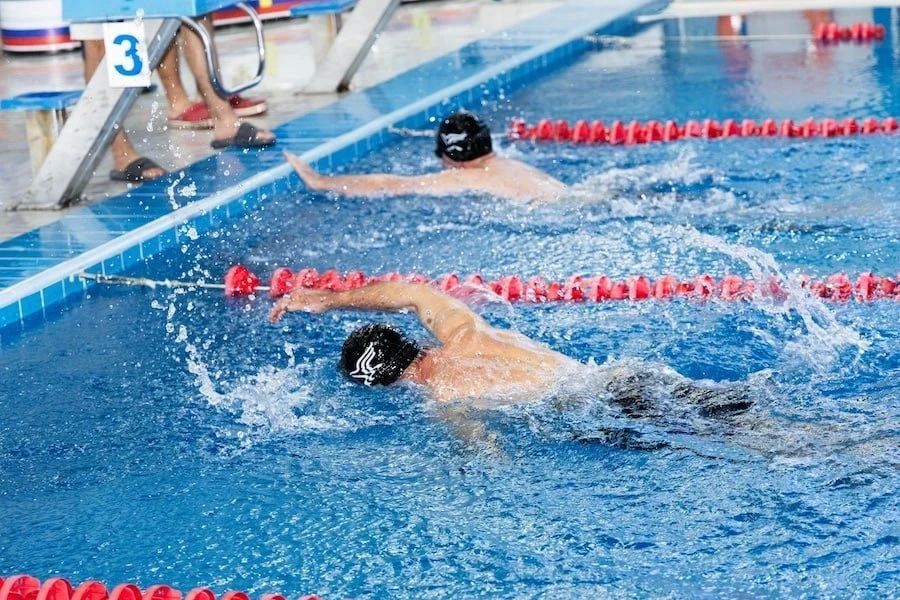 Чемпионат республики по адаптивному плаванию прошёл в Горно-Алтайске Чемпионат республики по адаптивному плаванию прошёл в Горно-Алтайске