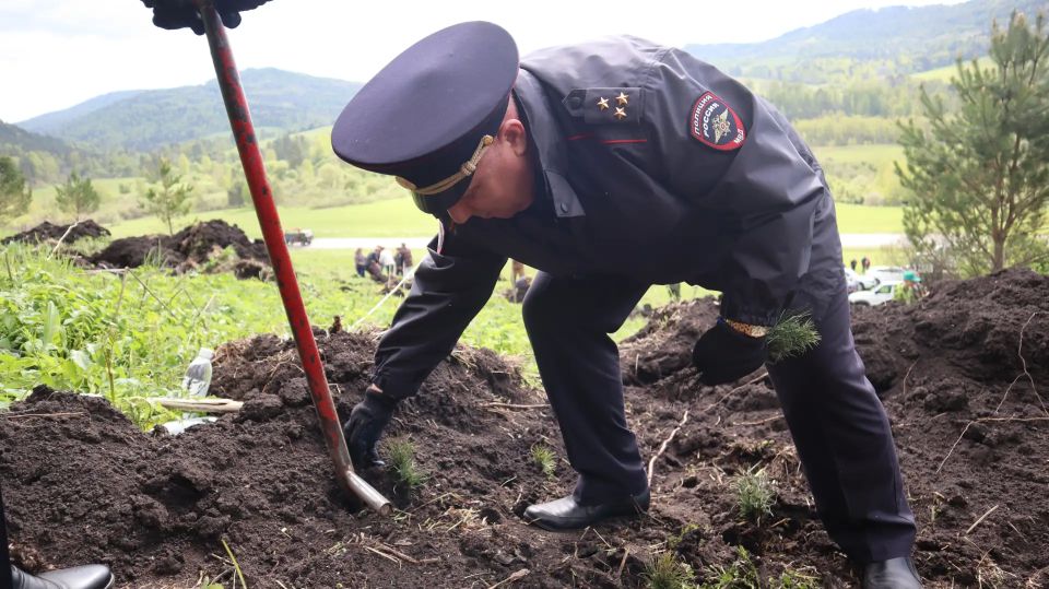 Полицейские Республики Алтай приняли участие в экологической акции «Сад памяти» Полицейские Республики Алтай приняли участие в экологической акции «Сад памяти»