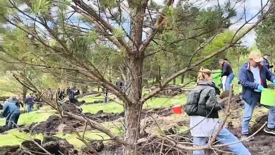 Сегодня вместе с коллегами приняли участие в международной акции «Сад памяти»