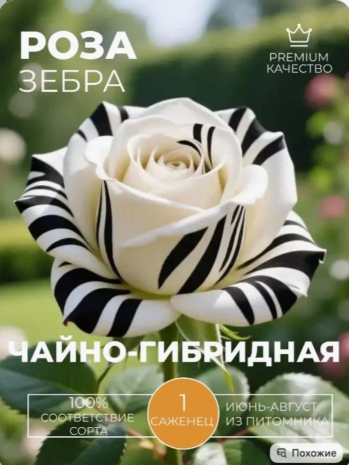 Маркетплейсы наводнили ИИ-фрукты: покупателей просят наказать продавцов Маркетплейсы наводнили ИИ-фрукты: покупателей просят наказать продавцов