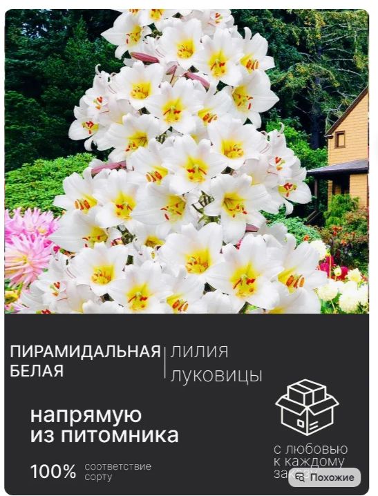 Маркетплейсы наводнили ИИ-фрукты: покупателей просят наказать продавцов Маркетплейсы наводнили ИИ-фрукты: покупателей просят наказать продавцов