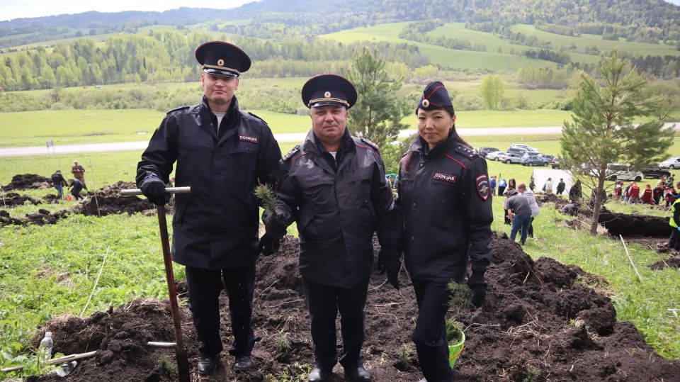 Полицейские Республики Алтай приняли участие в экологической акции «Сад памяти» Полицейские Республики Алтай приняли участие в экологической акции «Сад памяти»