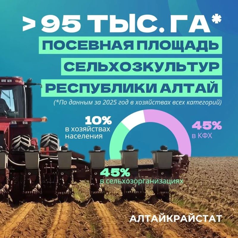 Посевная кампания на Алтае продолжается в плановом режиме несмотря на холодную погоду