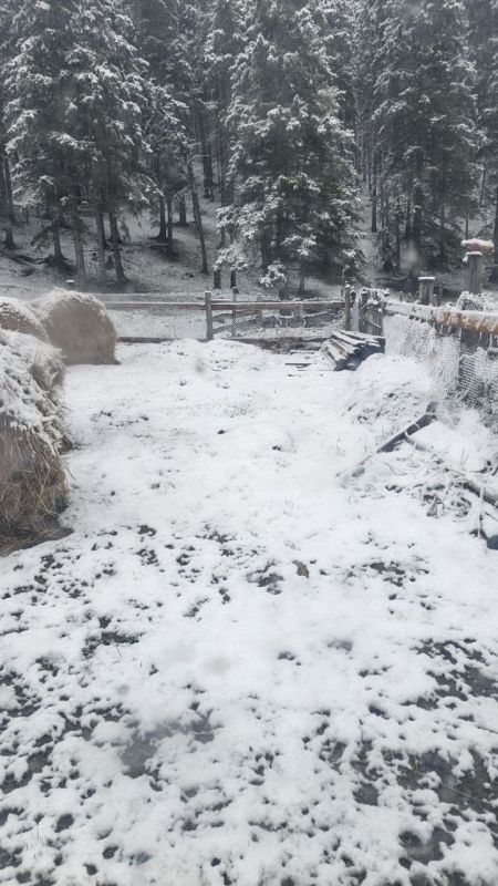 Такое сегодня было утро в Усть-Кане