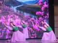 В детской школе искусств Кош-Агача прошёл отчётный концерт