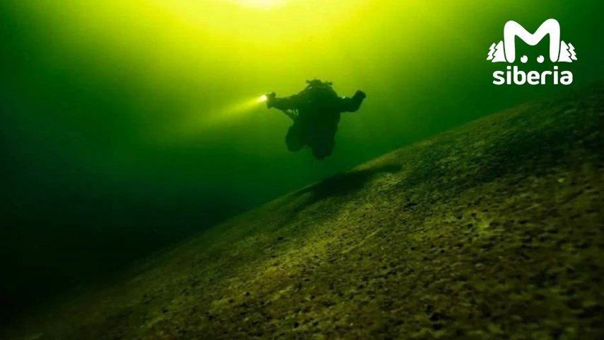 Принесли вам подводных красот прямиком с Телецкого озера Принесли вам подводных красот прямиком с Телецкого озера