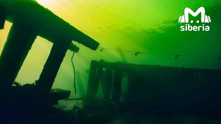Принесли вам подводных красот прямиком с Телецкого озера Принесли вам подводных красот прямиком с Телецкого озера