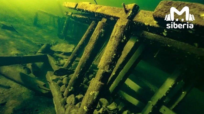 Принесли вам подводных красот прямиком с Телецкого озера Принесли вам подводных красот прямиком с Телецкого озера
