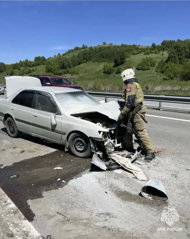 В Республике Алтай за прошедшие сутки:
