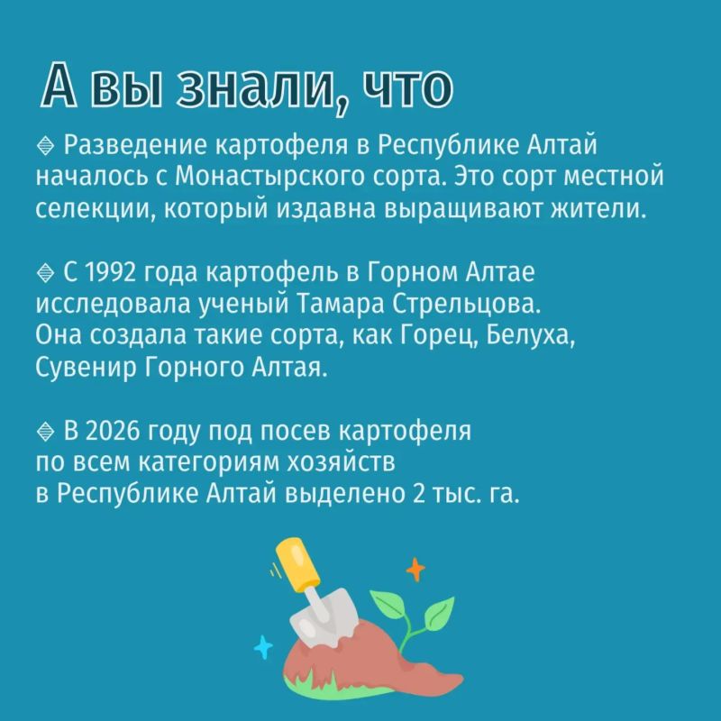 30 мая — Международный день картофеля — праздник, учреждённый Генеральной Ассамблеей ООН по инициативе Продовольственной и сельскохозяйственной организации 30 мая — Международный день картофеля — праздник, учреждённый Генеральной Ассамблеей ООН по инициативе Продовольственной и сельскохозяйственной организации