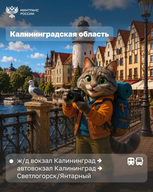 Куда можно поехать этим летом по «единому» билету Куда можно поехать этим летом по «единому» билету