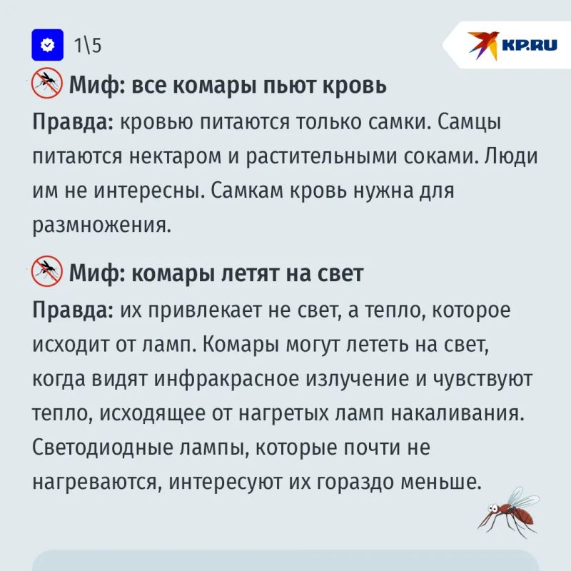А вас кусают комары? Развенчиваем популярные мифы о кровопийцах А вас кусают комары? Развенчиваем популярные мифы о кровопийцах