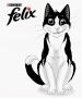 ����� ���� Felix ����� ���� ������ ��� ����� �����