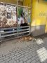�� ��������� ������� (� �������� ������) ������� ������ � �������� ����� �� � �������