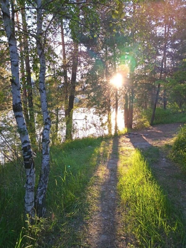 Летние зарисовки. Фото: В.К Летние зарисовки. Фото: В.К