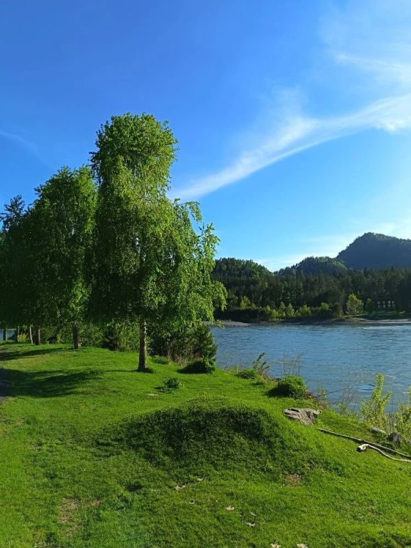 Летние зарисовки. Фото: В.К Летние зарисовки. Фото: В.К