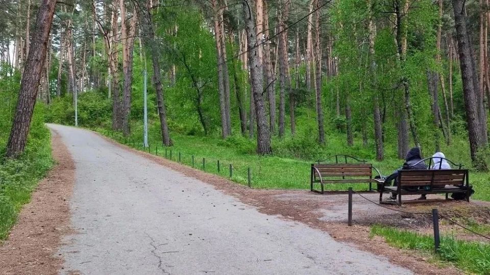 Самые популярные достопримечательности Чемальского района — ГЭС и сосновый бор на горе Бешпек Самые популярные достопримечательности Чемальского района — ГЭС и сосновый бор на горе Бешпек