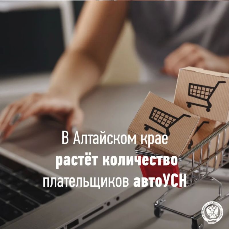 Сегодня в крае спецрежимом воспользовались 5 629 индивидуальных предпринимателей и организаций