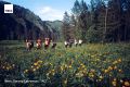 #архив_ТАСС_Сибирь. Туристы следуют пешим маршрутом к Телецкому озеру
