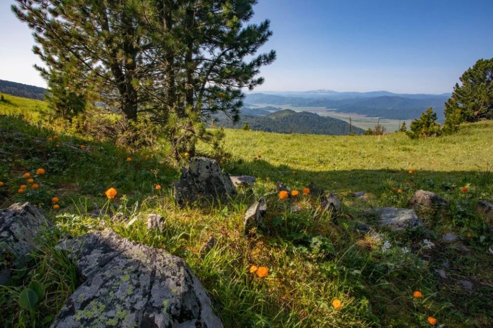#поэтическоеутро. Летняя верста А вот и лето! Как всё просто:
