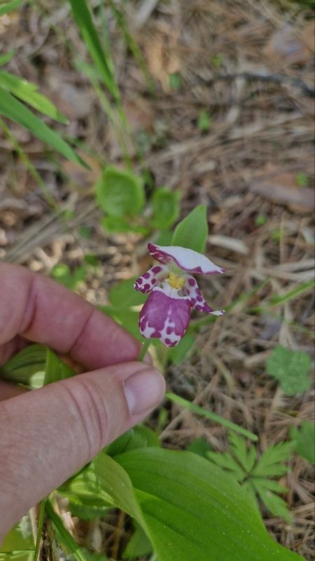 По дороге на Камышлинский водопад Фото: Анастасия Кузьмина По дороге на Камышлинский водопад Фото: Анастасия Кузьмина