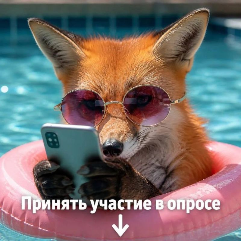 Сколько времени мы РЕАЛЬНО проводим в телефонах?