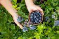��� �������� �������� �� ������ �������: ������ ������ ��� ���������
