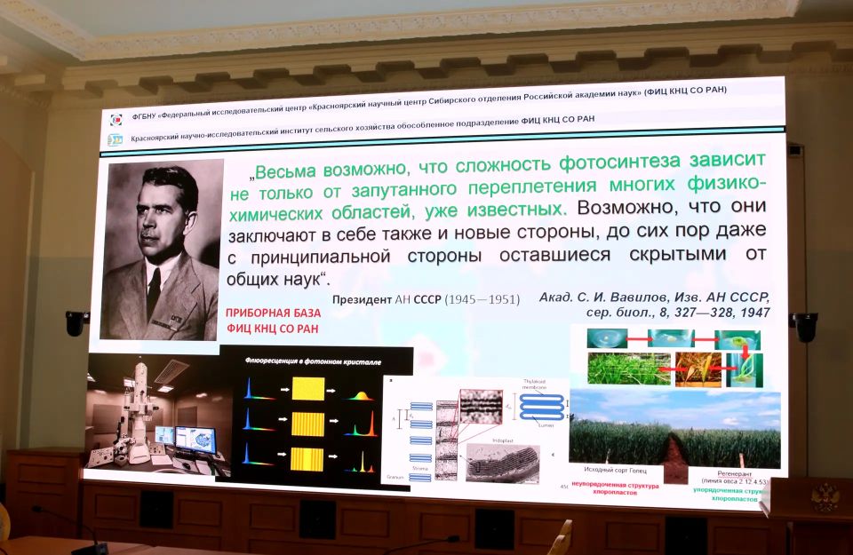 В Новосибирске обсудили развитие АПК Сибири: акцент на науку, подготовку кадров и продовольственную безопасность В Новосибирске обсудили развитие АПК Сибири: акцент на науку, подготовку кадров и продовольственную безопасность