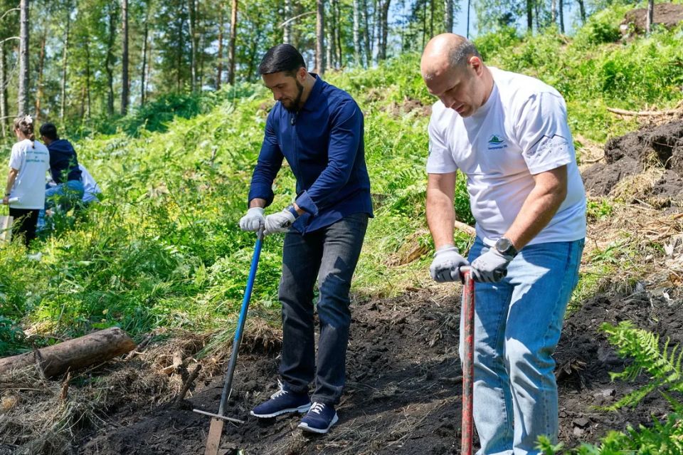 Всесезонный курорт Сбера «Манжерок» высадил в Майминском районе четыре тысячи деревьев Всесезонный курорт Сбера «Манжерок» высадил в Майминском районе четыре тысячи деревьев