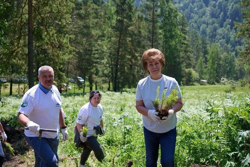 «Зелёный щит» Алтая: всесезонный курорт Сбера «Манжерок» расширяет масштаб природоохранных проектов «Зелёный щит» Алтая: всесезонный курорт Сбера «Манжерок» расширяет масштаб природоохранных проектов