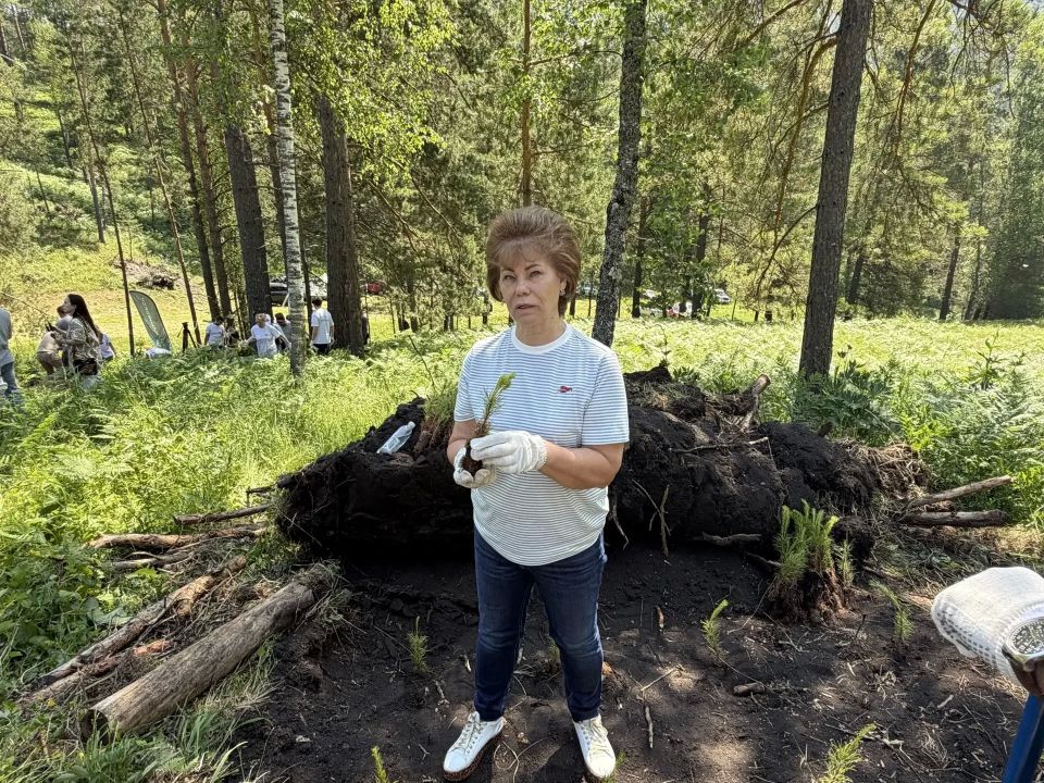 4000 саженцев сосны высадили участники акции всесезонного курорта «Сбера» «Манжерок» вблизи села Усть-Муны 4000 саженцев сосны высадили участники акции всесезонного курорта «Сбера» «Манжерок» вблизи села Усть-Муны