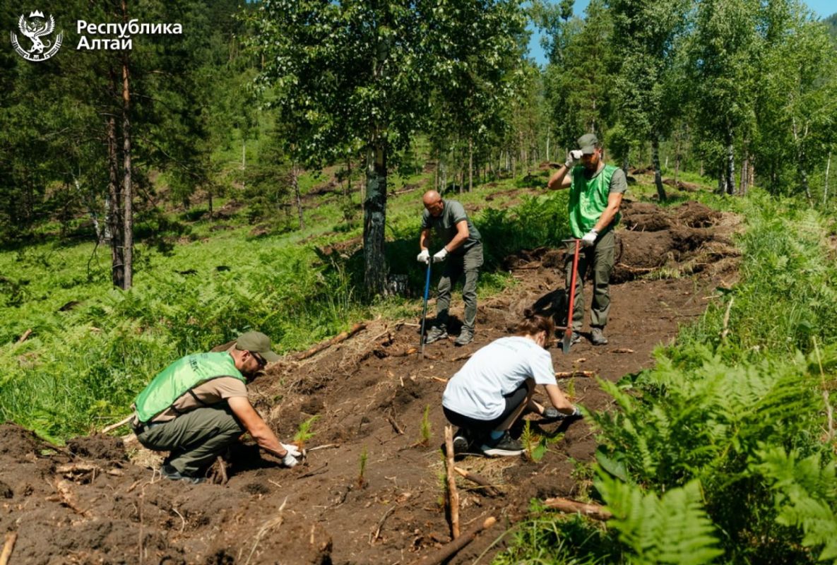 В Майминском районе вблизи села Усть-Муны всесезонный курорт Сбера «Манжерок» провел масштабную экологическую акцию В Майминском районе вблизи села Усть-Муны всесезонный курорт Сбера «Манжерок» провел масштабную экологическую акцию