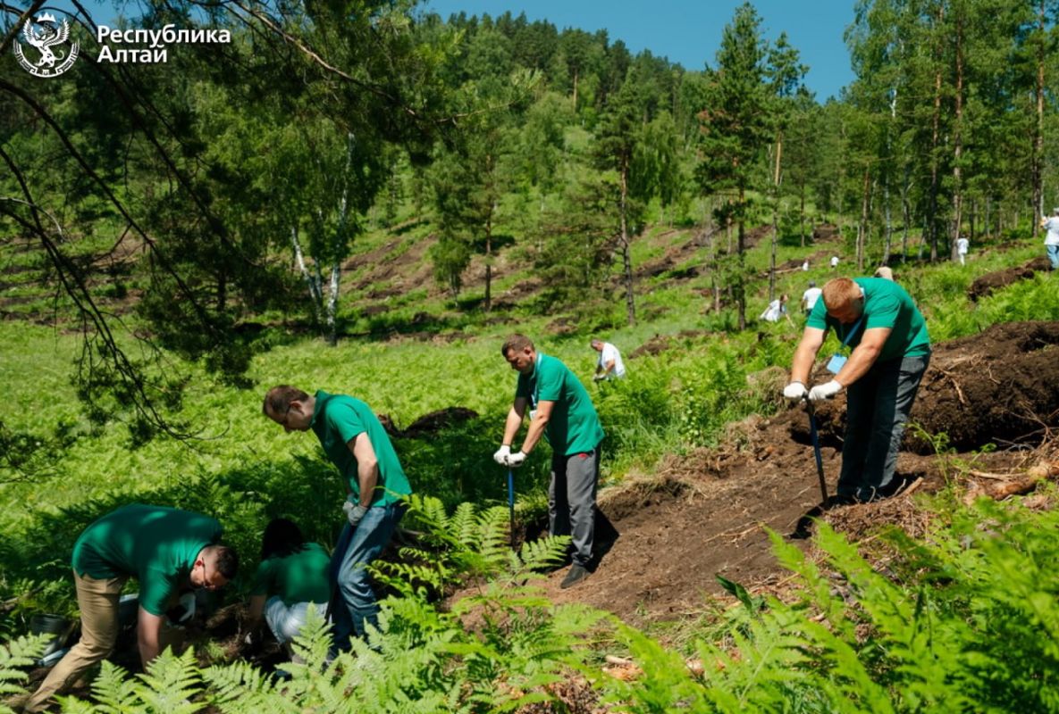 В Майминском районе вблизи села Усть-Муны всесезонный курорт Сбера «Манжерок» провел масштабную экологическую акцию В Майминском районе вблизи села Усть-Муны всесезонный курорт Сбера «Манжерок» провел масштабную экологическую акцию
