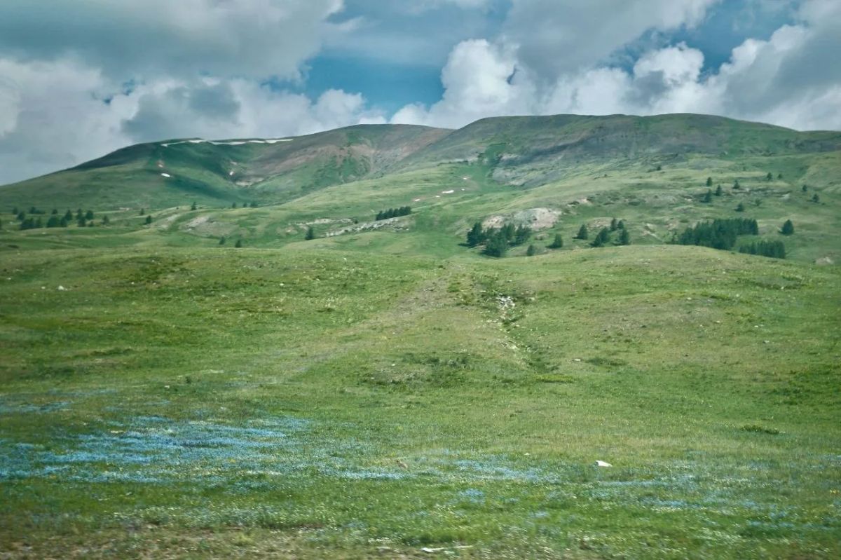 Красоты неповторимой Республики Алтай через фотообъектив Натальи Стрелецкой Красоты неповторимой Республики Алтай через фотообъектив Натальи Стрелецкой