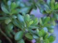 ��� ��������� ���������� �������� ������: ������� ���-��� ��� ����������� �����