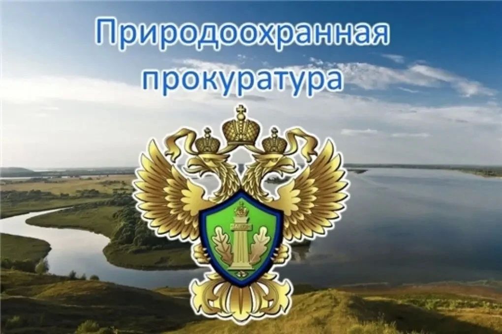 В Республике Алтай по иску природоохранного прокурора с золотодобывающей организации взыскано более 1,5 млн рублей за загрязнение водного объекта