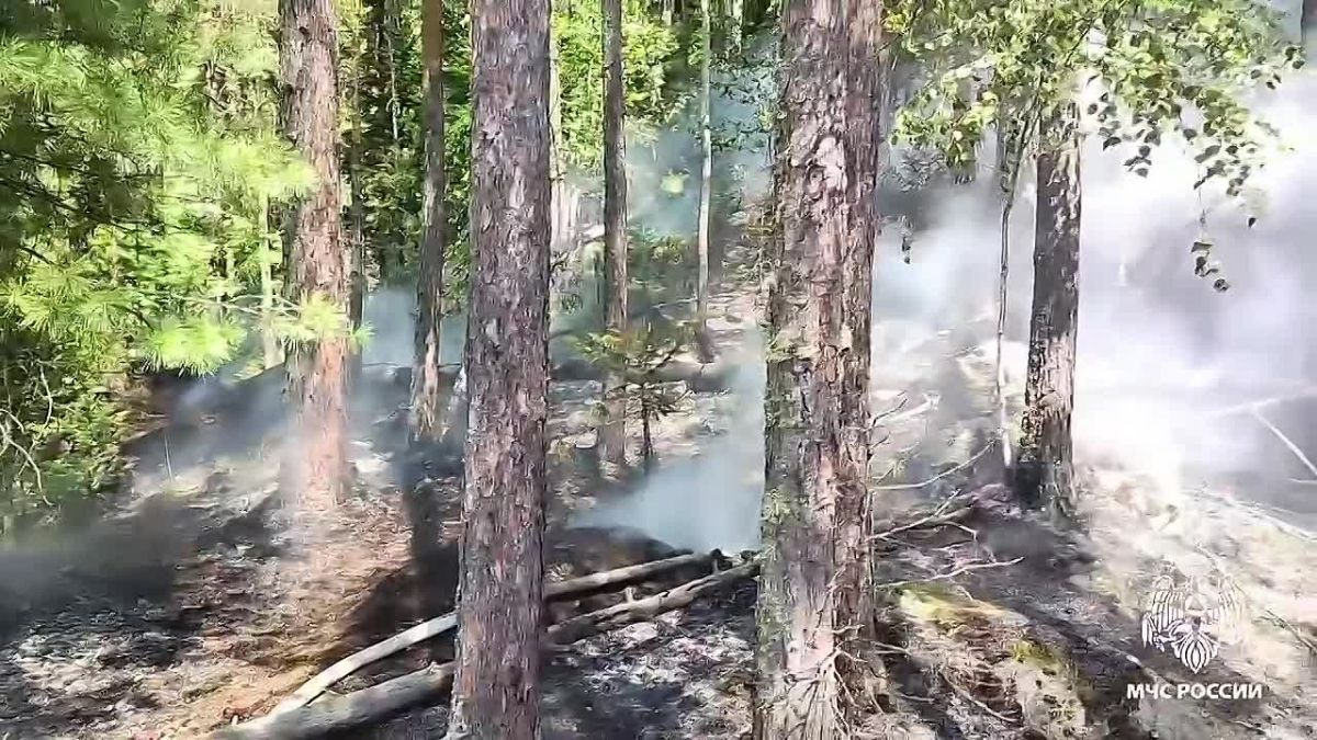 В Республике Алтай за прошедшие сутки: