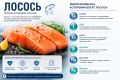Как лосось может помочь в борьбе с агрессией и стрессом
