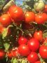 ����� ���� 8: ��������� ����� ��� ��������� �������
