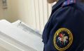 Региональным следственным управлением по сообщению социальных сетей о противоправных действиях в отношении несовершеннолетнего проводится проверка