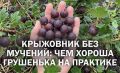 ��� ������� � � �������: ��������� ��������� ���������� ��������� ���������