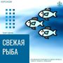 Камбала по 115 рублей: не упустите момент!